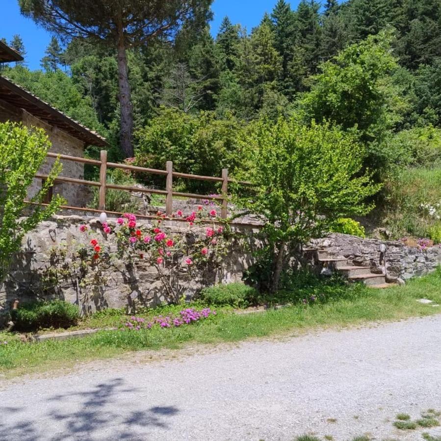 Vila Fattoria Di Cintoia Pontassieve Exteriér fotografie