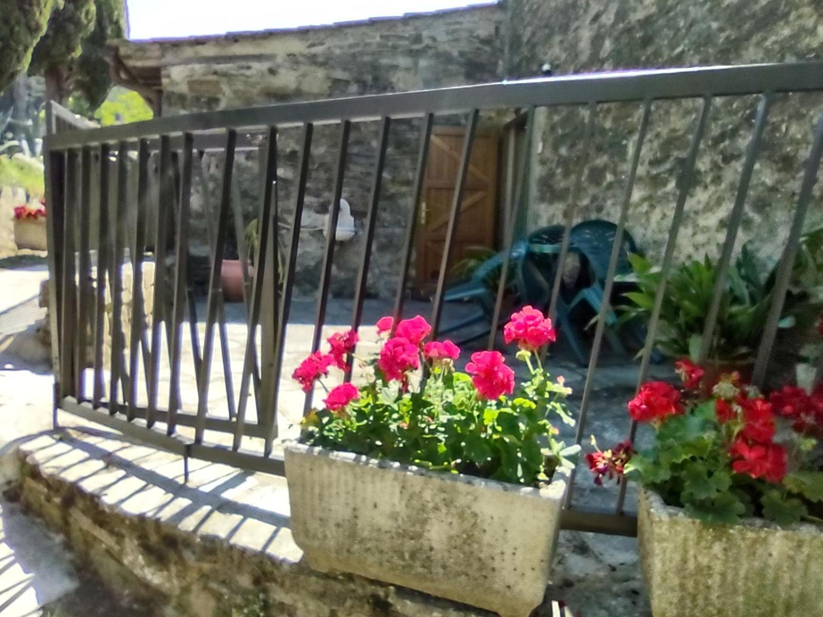 Vila Fattoria Di Cintoia Pontassieve Exteriér fotografie