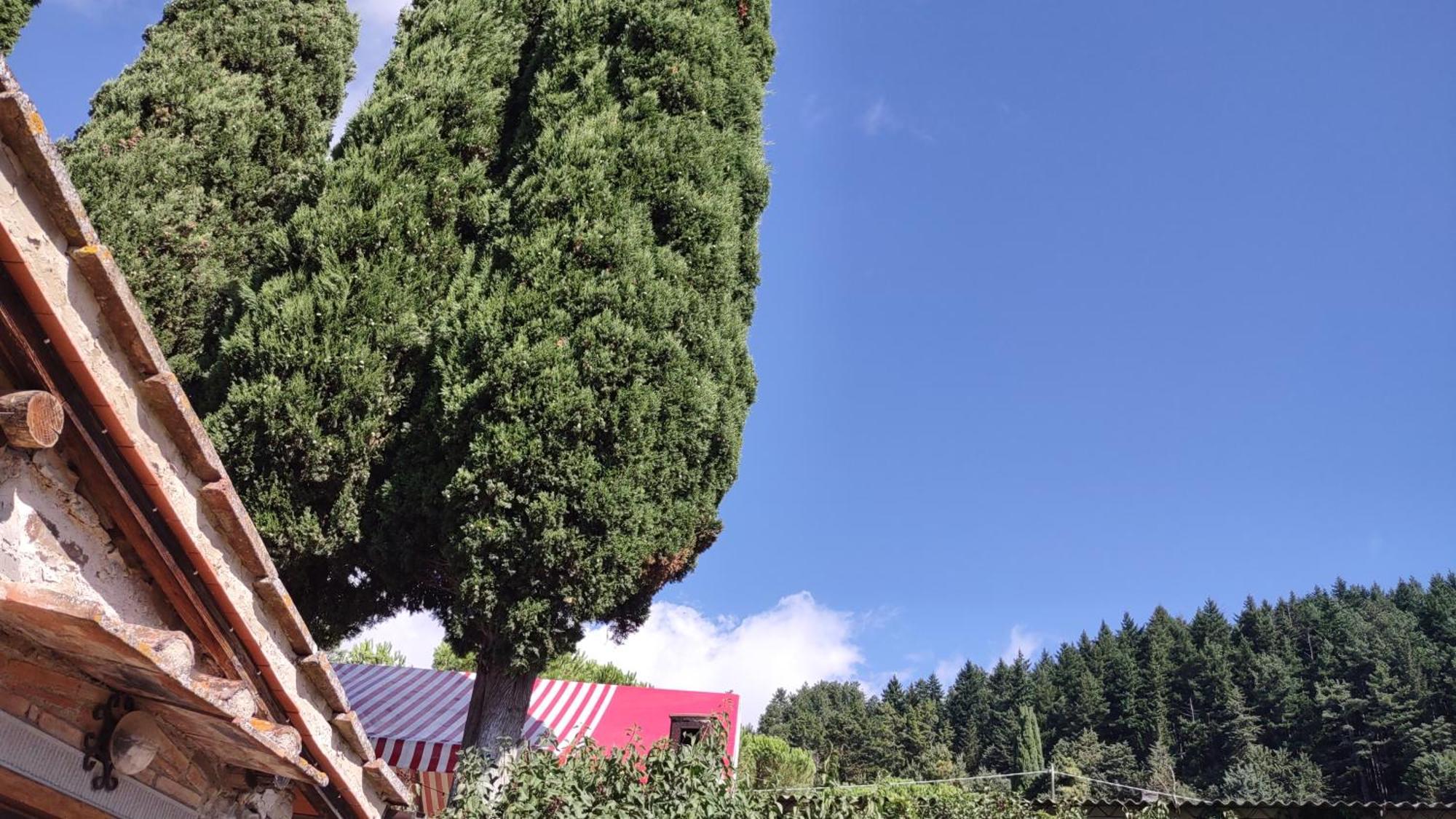 Vila Fattoria Di Cintoia Pontassieve Exteriér fotografie